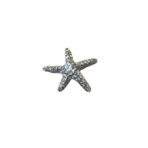 Simulador Estrella de Mar