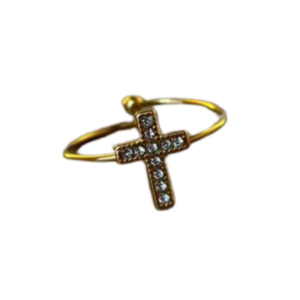 Anillo Crucecita