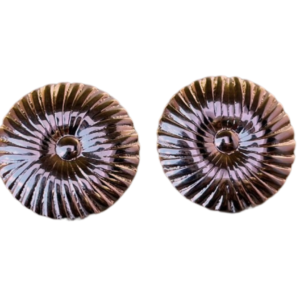 Aretes Solar