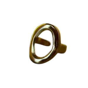 Anillo Orbita