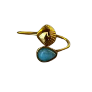 Anillo Playero