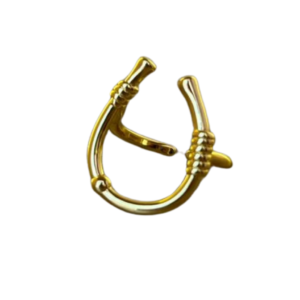 Anillo Herradura