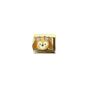 Charm Perrito